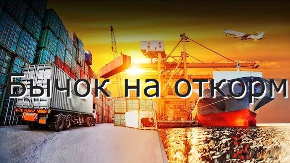 Бычок на откорм